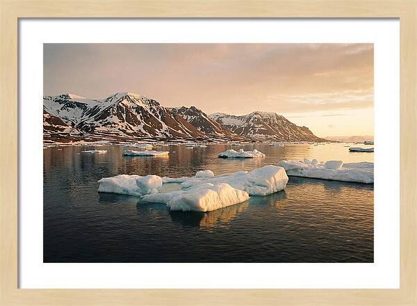 Svalbard Seascape Serenity