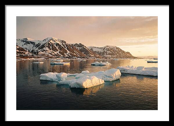 Svalbard Seascape Serenity