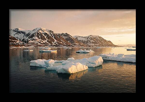 Svalbard Seascape Serenity
