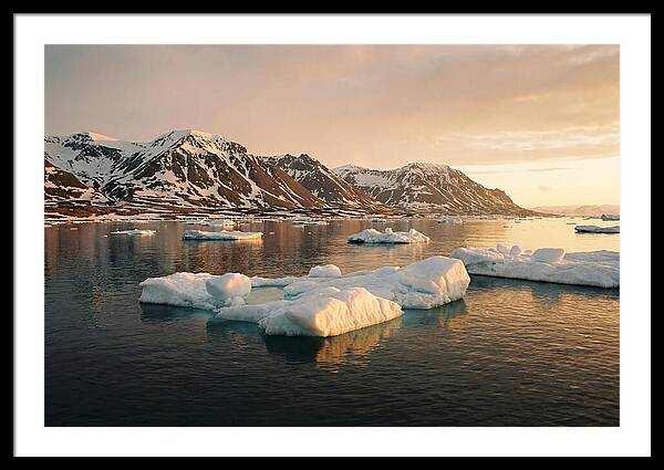 Svalbard Seascape Serenity