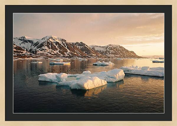 Svalbard Seascape Serenity