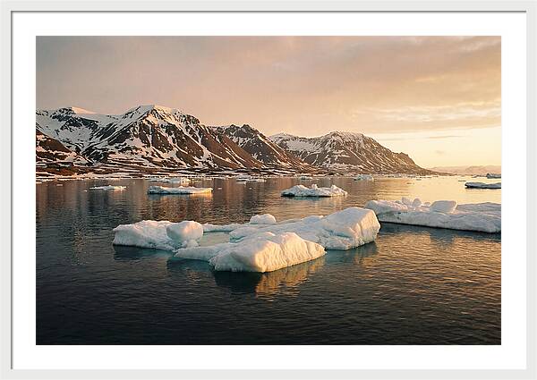 Svalbard Seascape Serenity