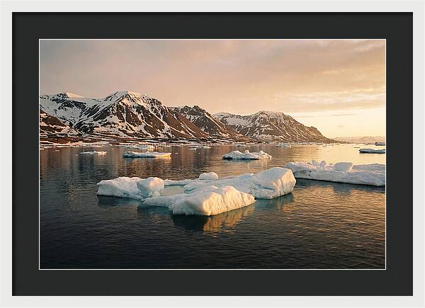 Svalbard Seascape Serenity