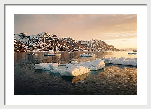 Svalbard Seascape Serenity