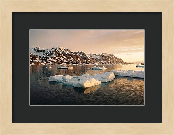 Svalbard Seascape Serenity