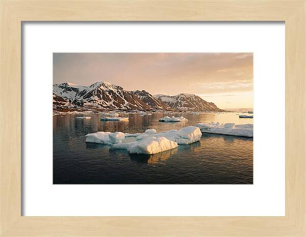 Svalbard Seascape Serenity