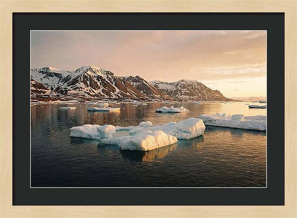 Svalbard Seascape Serenity