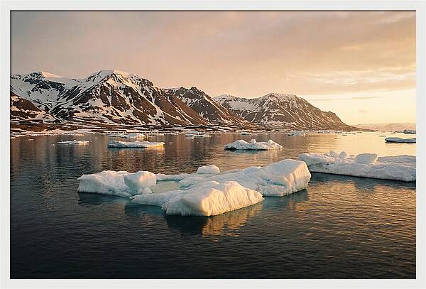 Svalbard Seascape Serenity