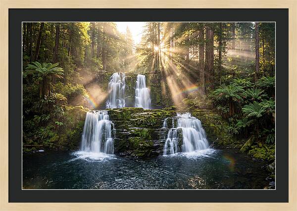 Swallow Falls Serenity