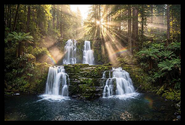 Swallow Falls Serenity