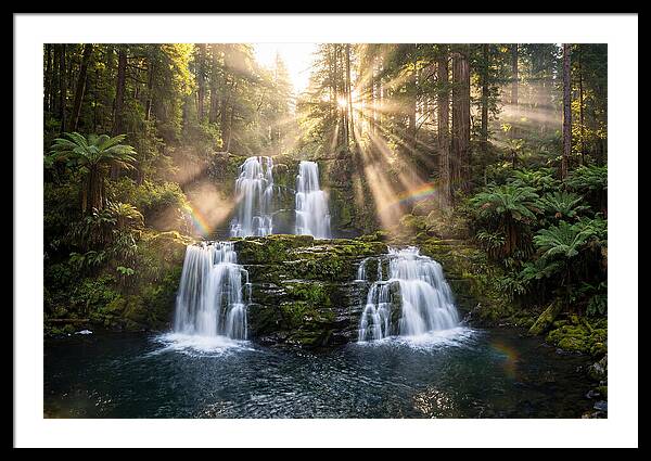 Swallow Falls Serenity
