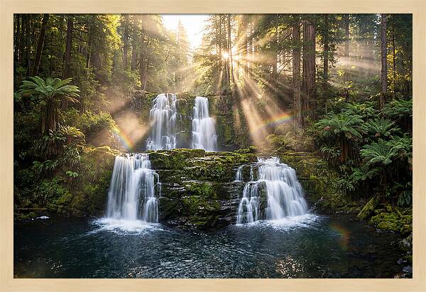 Swallow Falls Serenity