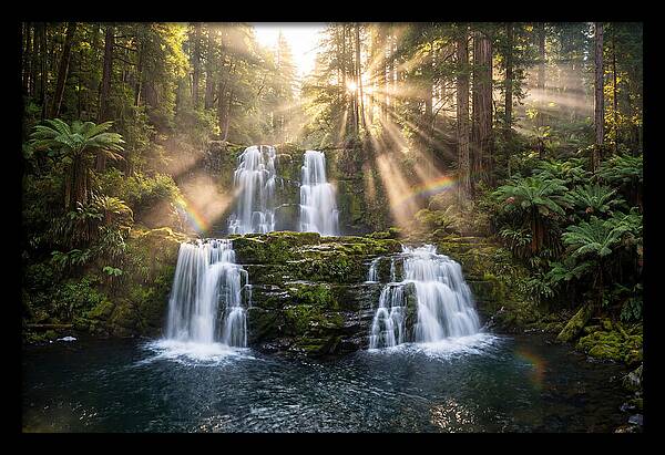 Swallow Falls Serenity