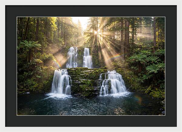 Swallow Falls Serenity
