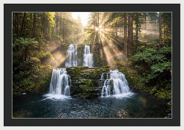 Swallow Falls Serenity