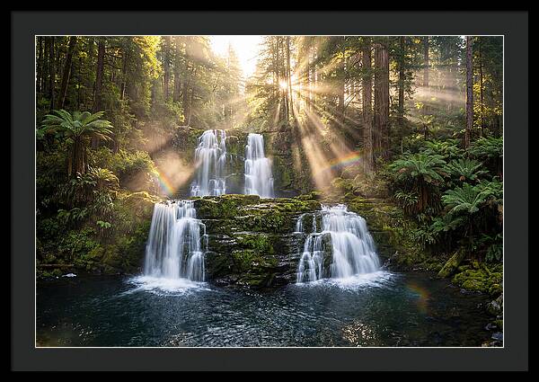 Swallow Falls Serenity