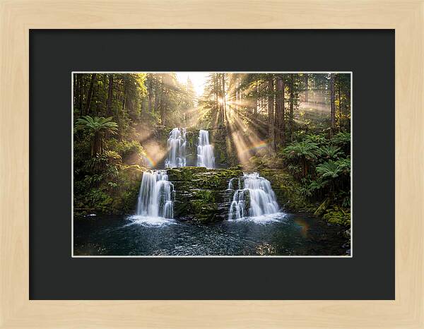Swallow Falls Serenity