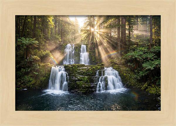 Swallow Falls Serenity