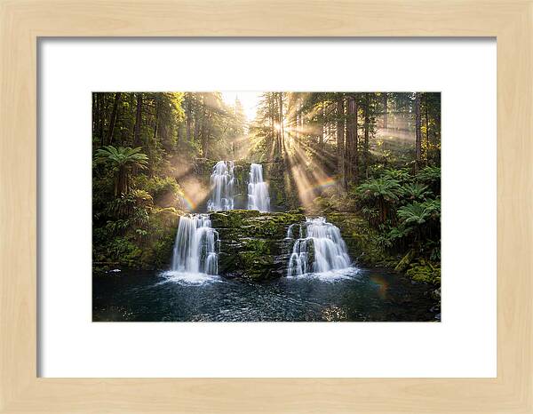 Swallow Falls Serenity