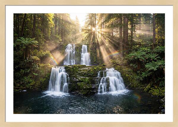 Swallow Falls Serenity