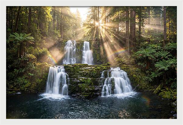 Swallow Falls Serenity