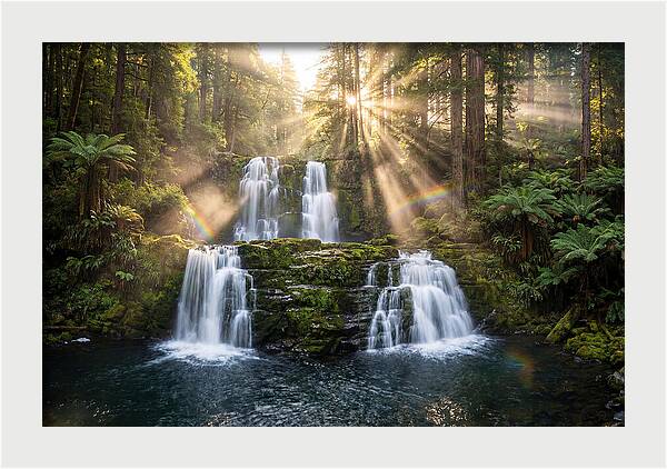 Swallow Falls Serenity