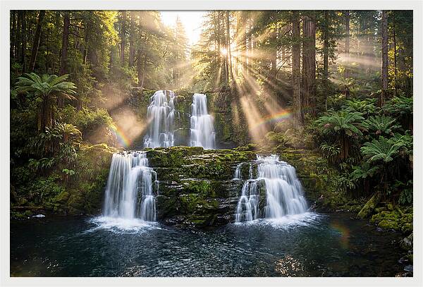 Swallow Falls Serenity