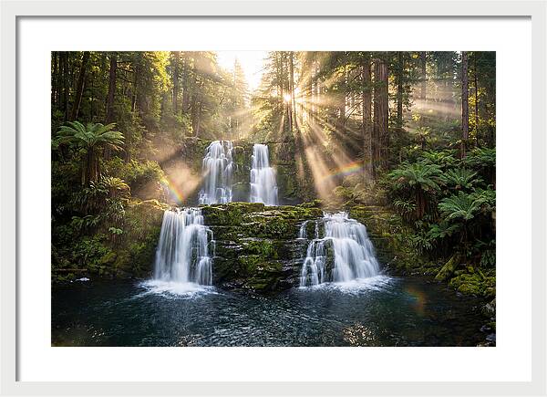 Swallow Falls Serenity