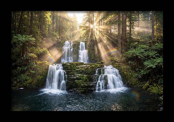 Swallow Falls Serenity