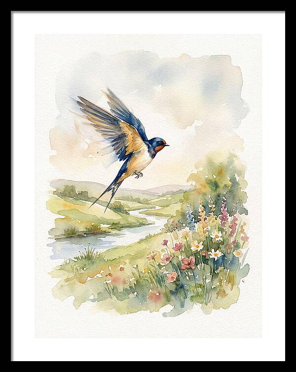 Swallow In Flight Over Meadow