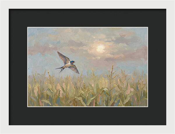 Swallow Skimming Over Summer Cornfield