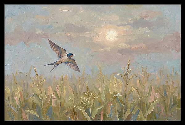 Swallow Skimming Over Summer Cornfield
