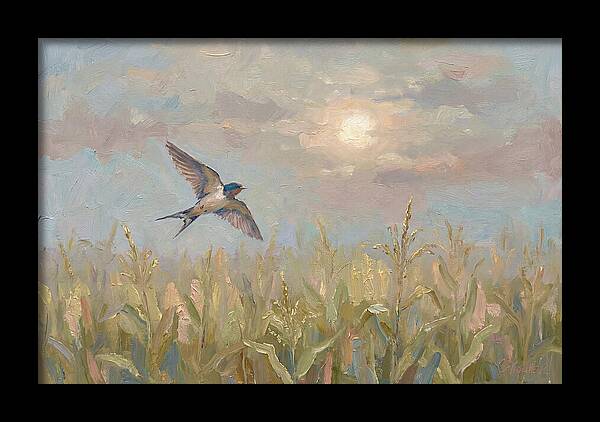 Swallow Skimming Over Summer Cornfield