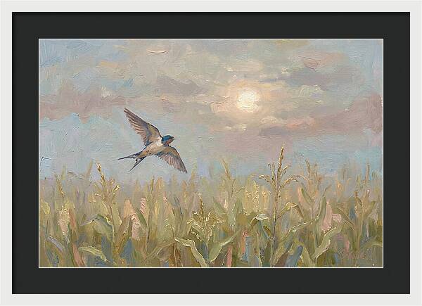 Swallow Skimming Over Summer Cornfield