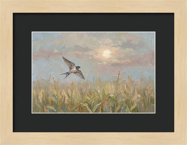 Swallow Skimming Over Summer Cornfield