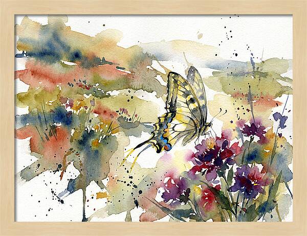 Swallowtail Butterfly Among Blossoms