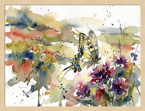 Swallowtail Butterfly Among Blossoms