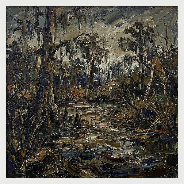 Swamp Landscape Serenity