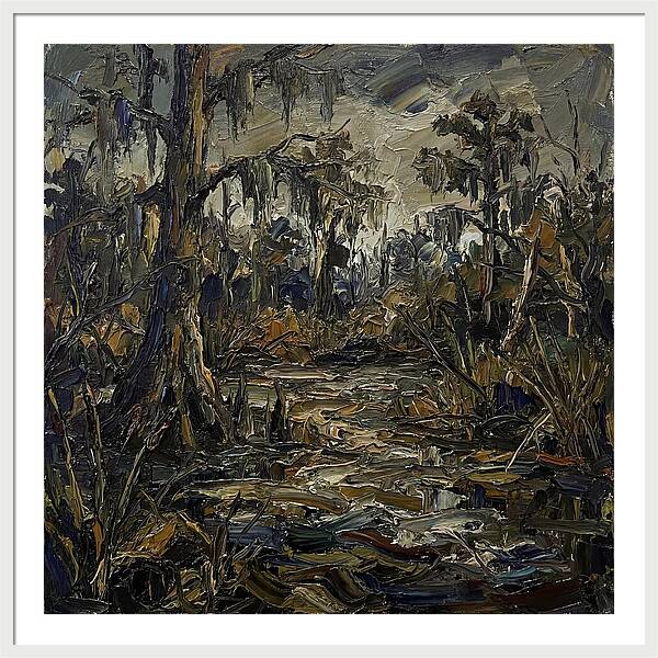 Swamp Landscape Serenity
