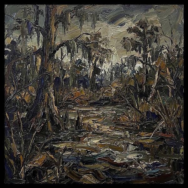 Swamp Landscape Serenity