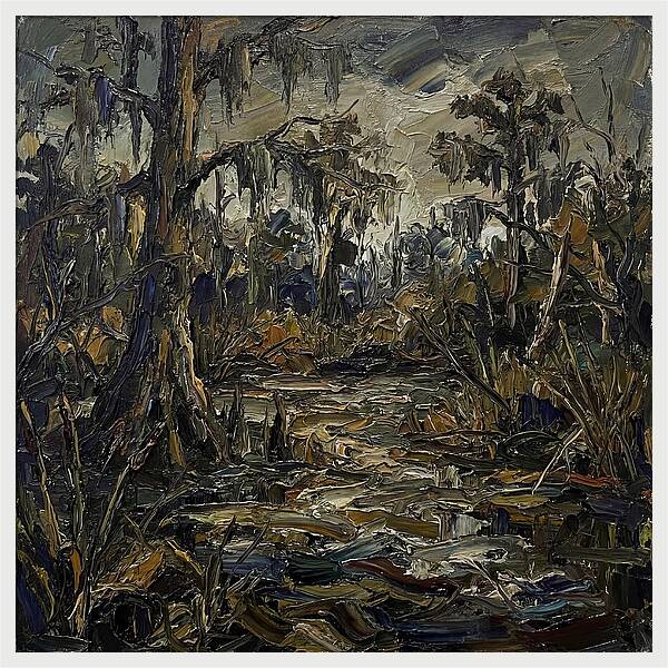 Swamp Landscape Serenity