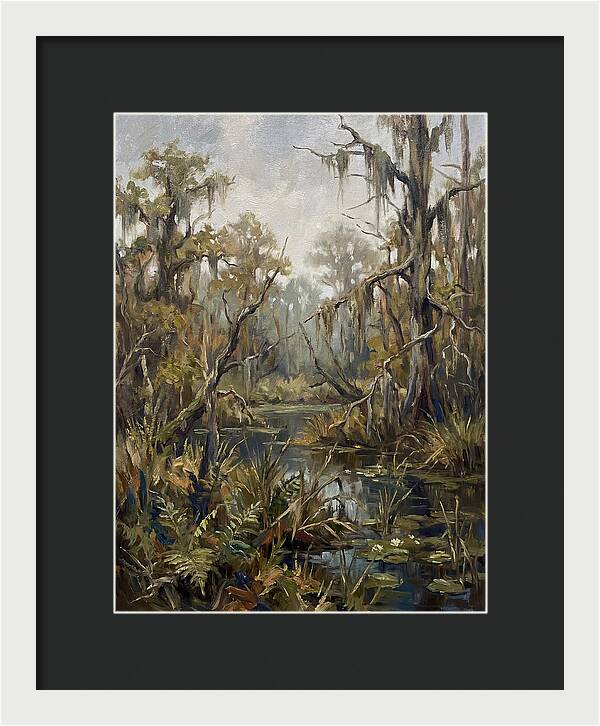 Swamp Serenity In Nature