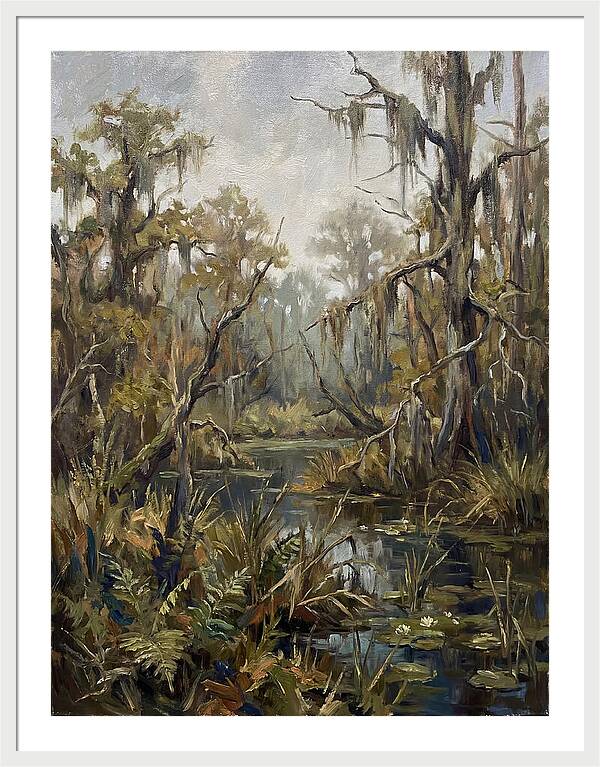 Swamp Serenity In Nature