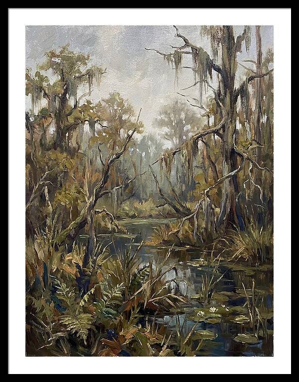 Swamp Serenity In Nature