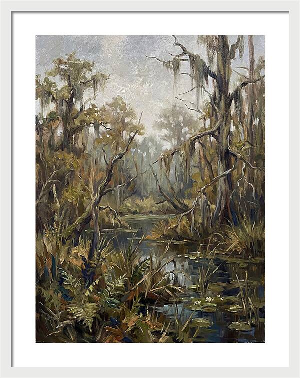Swamp Serenity In Nature