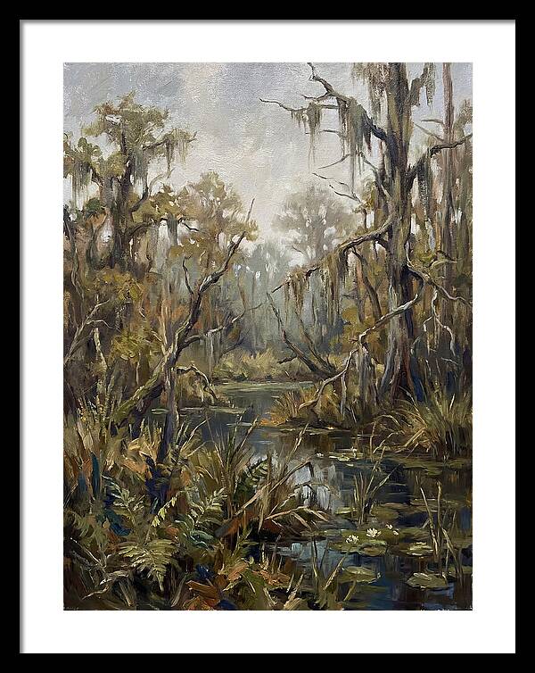 Swamp Serenity In Nature