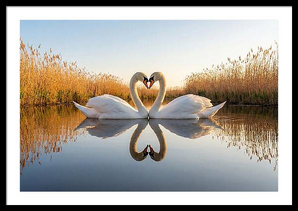 Romance Art