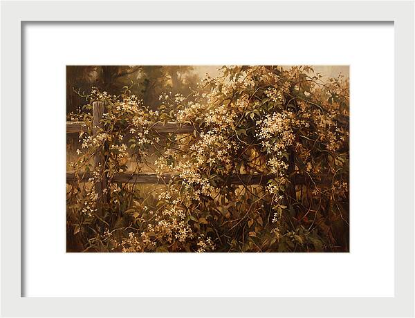Sweet Autumn Clematis Over Fence