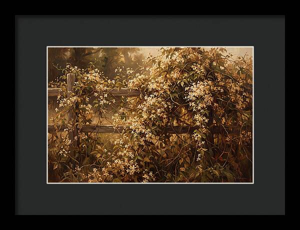 Sweet Autumn Clematis Over Fence
