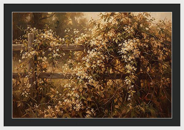 Sweet Autumn Clematis Over Fence